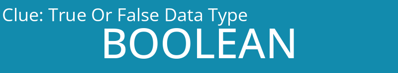 True Or False Data Type