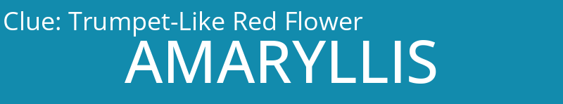 Trumpet-Like Red Flower