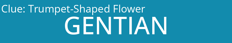 Trumpet-Shaped Flower