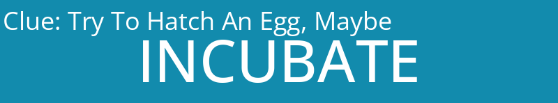 Try To Hatch An Egg, Maybe