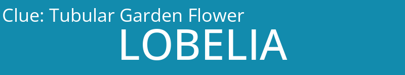 Tubular Garden Flower