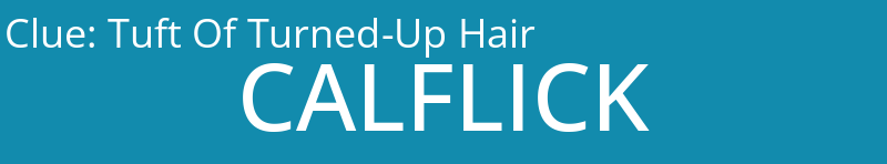 Tuft Of Turned-Up Hair