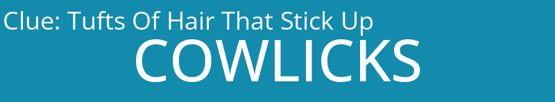 Tufts Of Hair That Stick Up