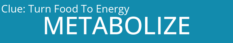 Turn Food To Energy