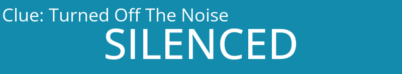 Turned Off The Noise