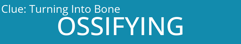 Turning Into Bone