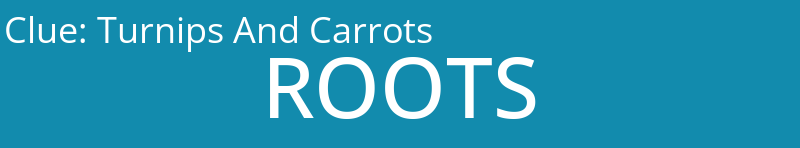 Turnips And Carrots