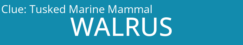 Tusked Marine Mammal