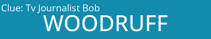 Tv Journalist Bob