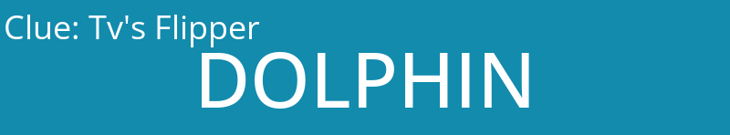 Tv's Flipper