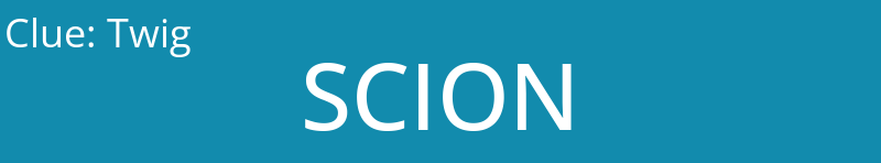 Twig