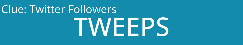 Twitter Followers