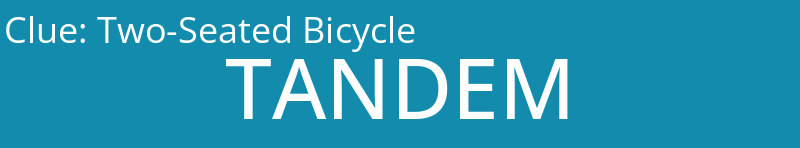 Two-Seated Bicycle
