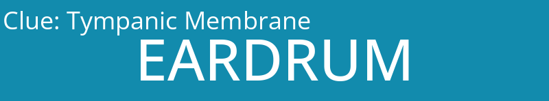 Tympanic Membrane