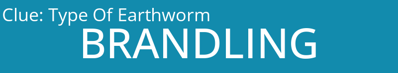 Type Of Earthworm