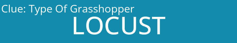 Type Of Grasshopper