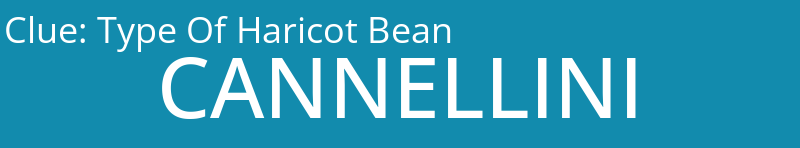 Type Of Haricot Bean