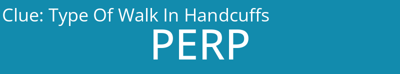 Type Of Walk In Handcuffs