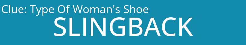 Type Of Woman's Shoe