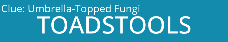 Umbrella-Topped Fungi