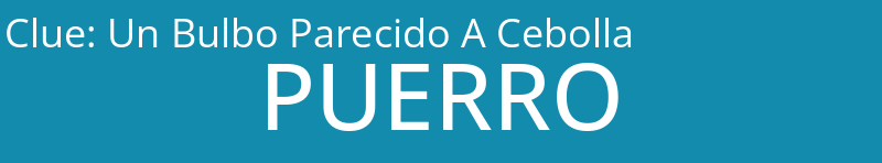 Un Bulbo Parecido A Cebolla