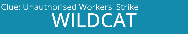 Unauthorised Workers' Strike
