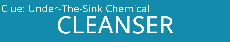 Under-The-Sink Chemical