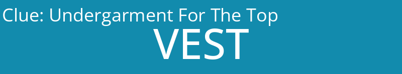 Undergarment For The Top