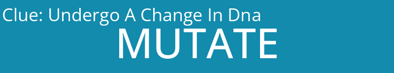 Undergo A Change In Dna