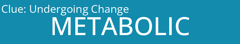 Undergoing Change