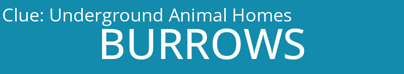 Underground Animal Homes