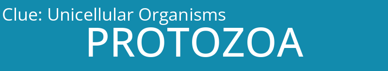 Unicellular Organisms