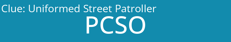 Uniformed Street Patroller