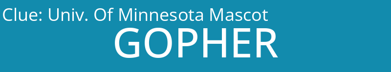 Univ. Of Minnesota Mascot