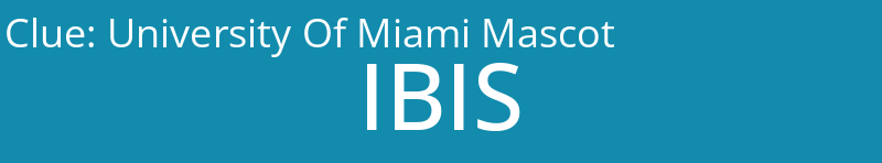 University Of Miami Mascot