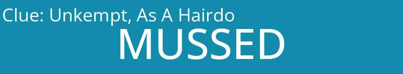 Unkempt, As A Hairdo