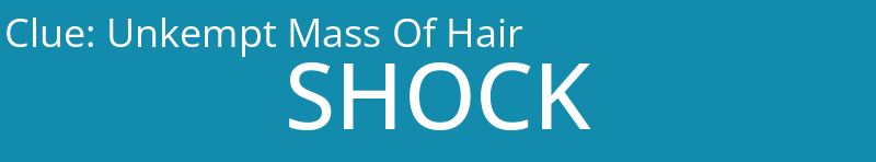 Unkempt Mass Of Hair