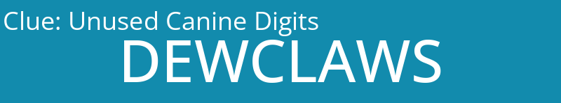 Unused Canine Digits