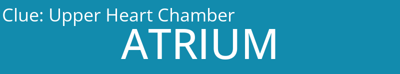 Upper Heart Chamber