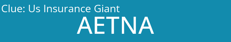 Us Insurance Giant