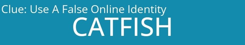 Use A False Online Identity