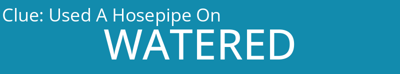 Used A Hosepipe On
