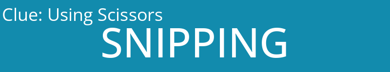 Using Scissors