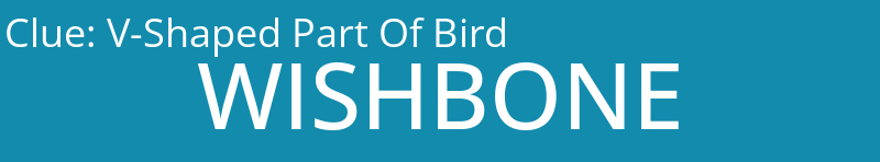 V-Shaped Part Of Bird