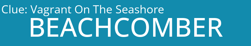 Vagrant On The Seashore