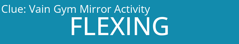 Vain Gym Mirror Activity