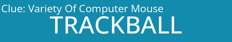 Variety Of Computer Mouse