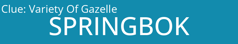 Variety Of Gazelle 