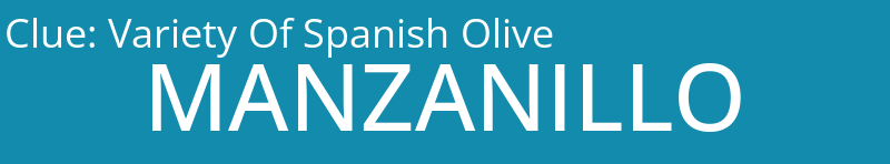 Variety Of Spanish Olive