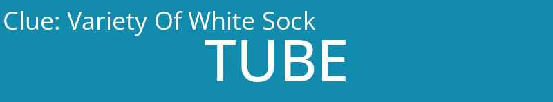 Variety Of White Sock